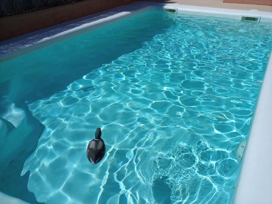 B&B Mar Y Montana Privado No Cocina Orrius Dış mekan fotoğraf
