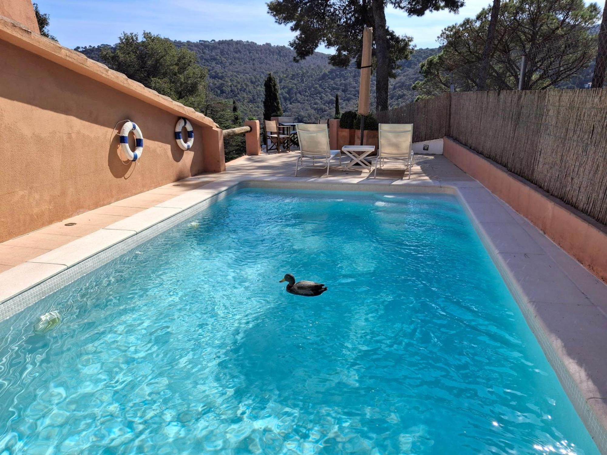 B&B Mar Y Montana Privado No Cocina Orrius Dış mekan fotoğraf